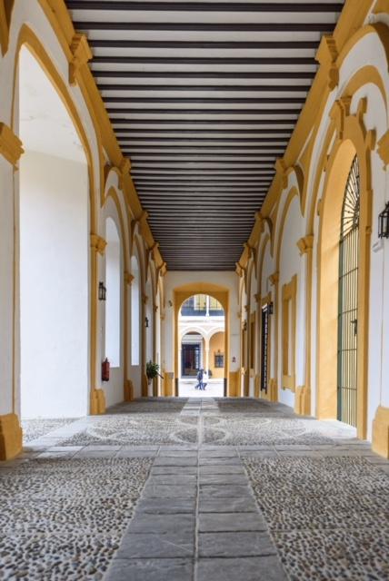 real alcazar Seville